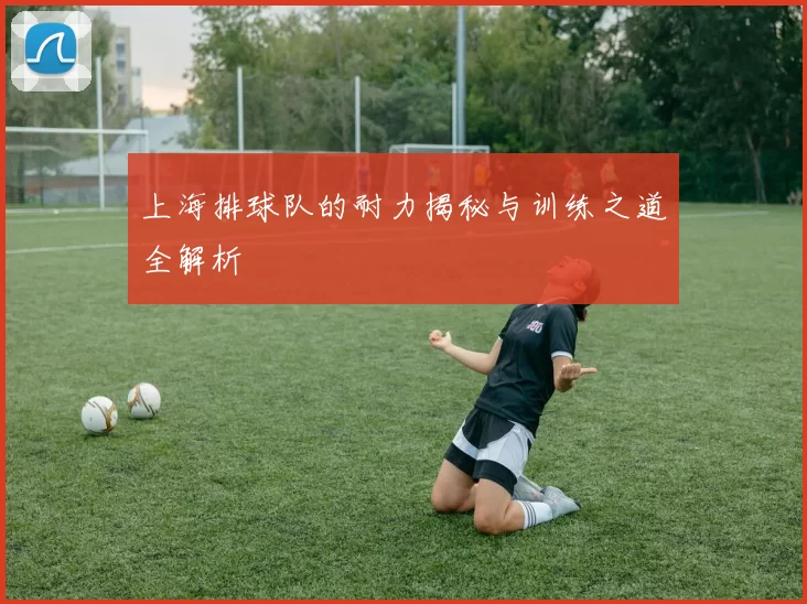 上海排球队的耐力揭秘与训练之道全解析