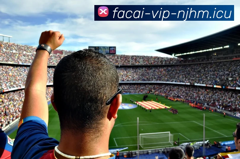 MK体育发展历程